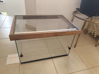 טרריום זכוכית גדול