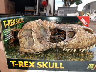 מסתור ועיצוב טרריומים