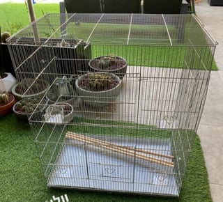 כלובי ענק 90×77×46 מעולים למגוון חיות קטנות