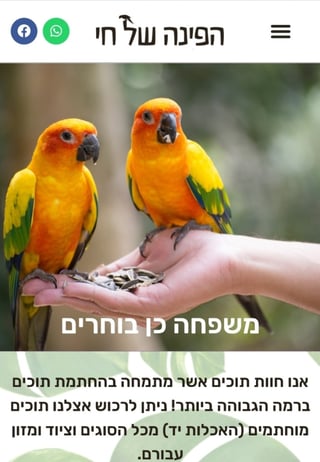 חוות תוכים, הפינה של חי, קוניורים