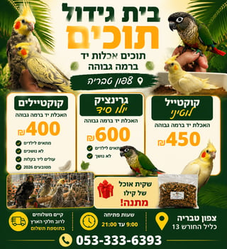 תוכים האכלות יד קוקטיילים וגרינציקים