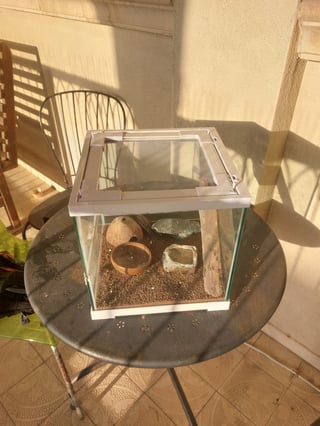 טרריום 30x30x30 ללטאות