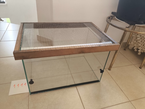 טרריום זכוכית גדול