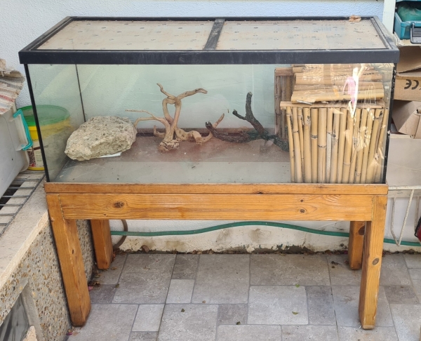אקווריום/טרריום 