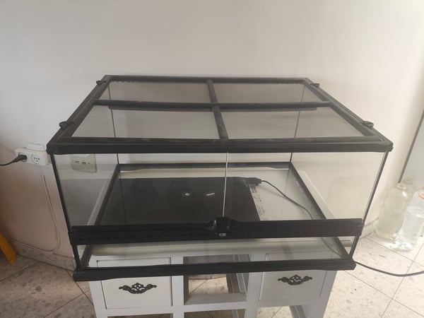 טרריום גדול