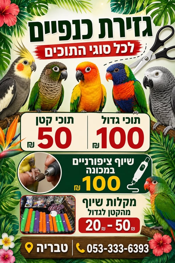 גזירת כנפיים לתוכים קטנים וגדולים