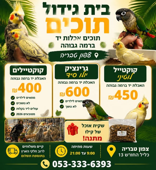 תוכים האכלות יד קוקטיילים וגרינציקים