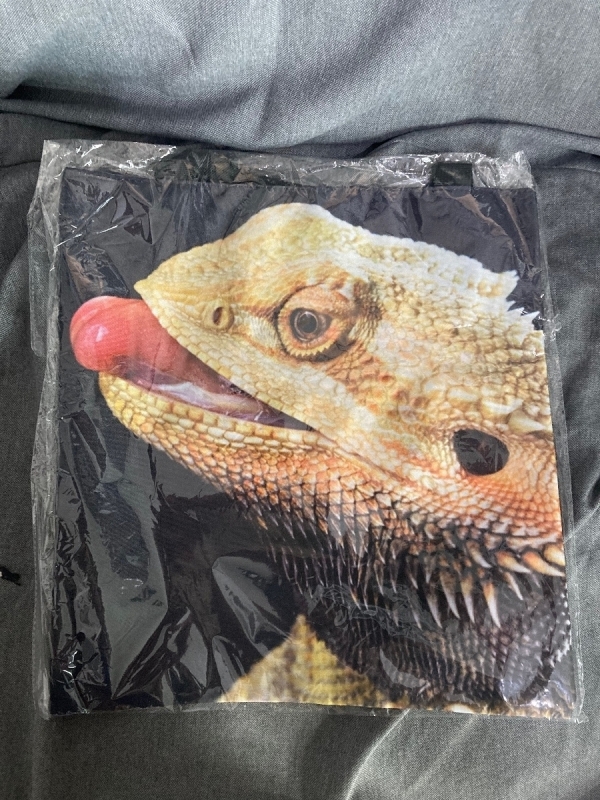 תיקי חוף זוחלים