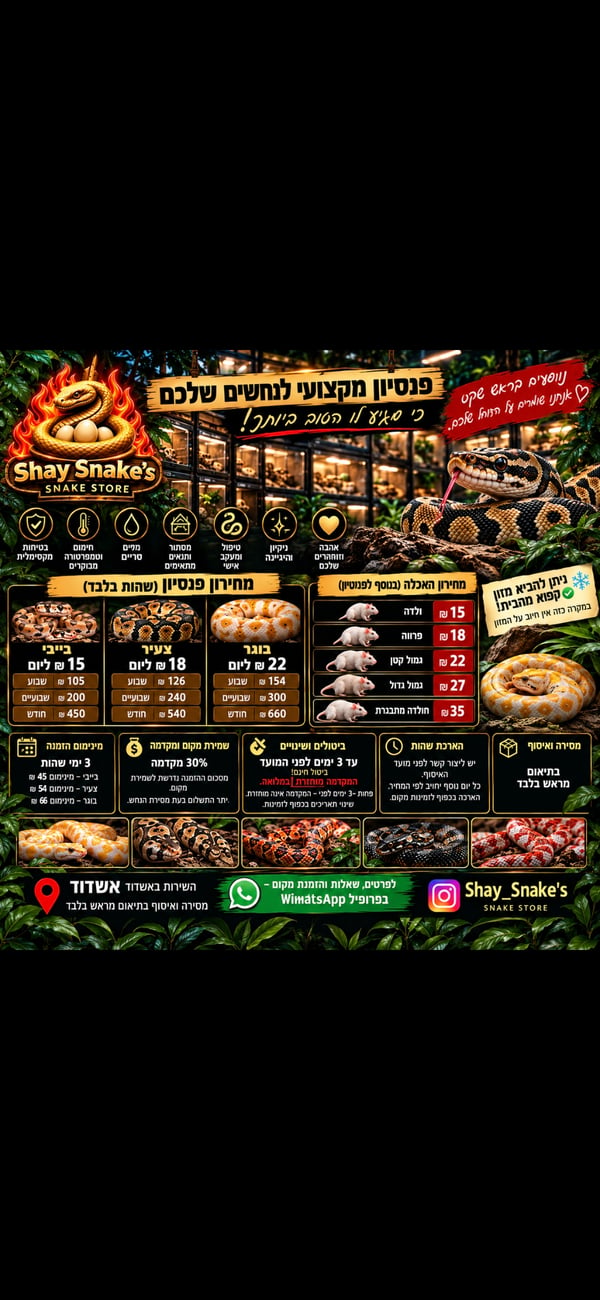Shay snake home