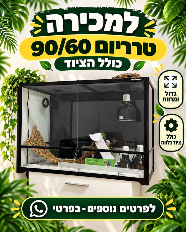 טרריום וציוד מלא לגידול זוחלים/חרדונים