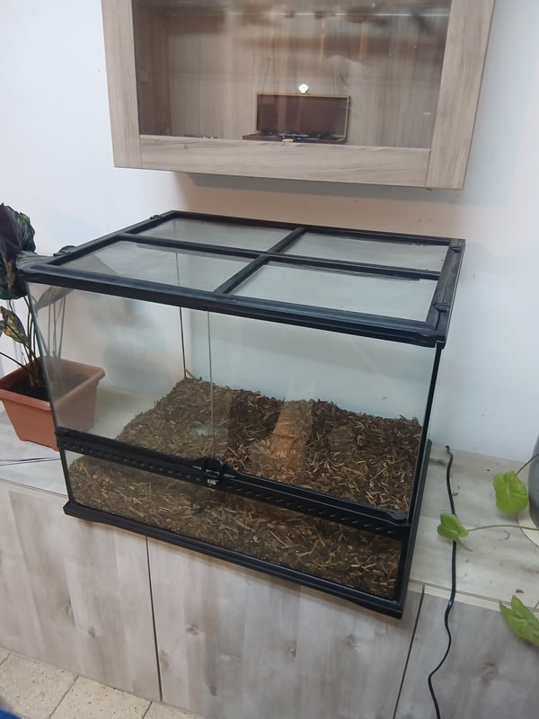 טרריום למסירה