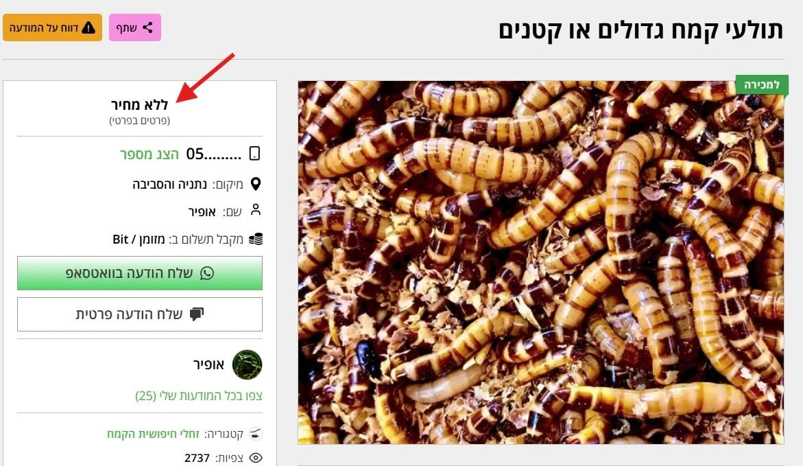תיאור Alt חסר