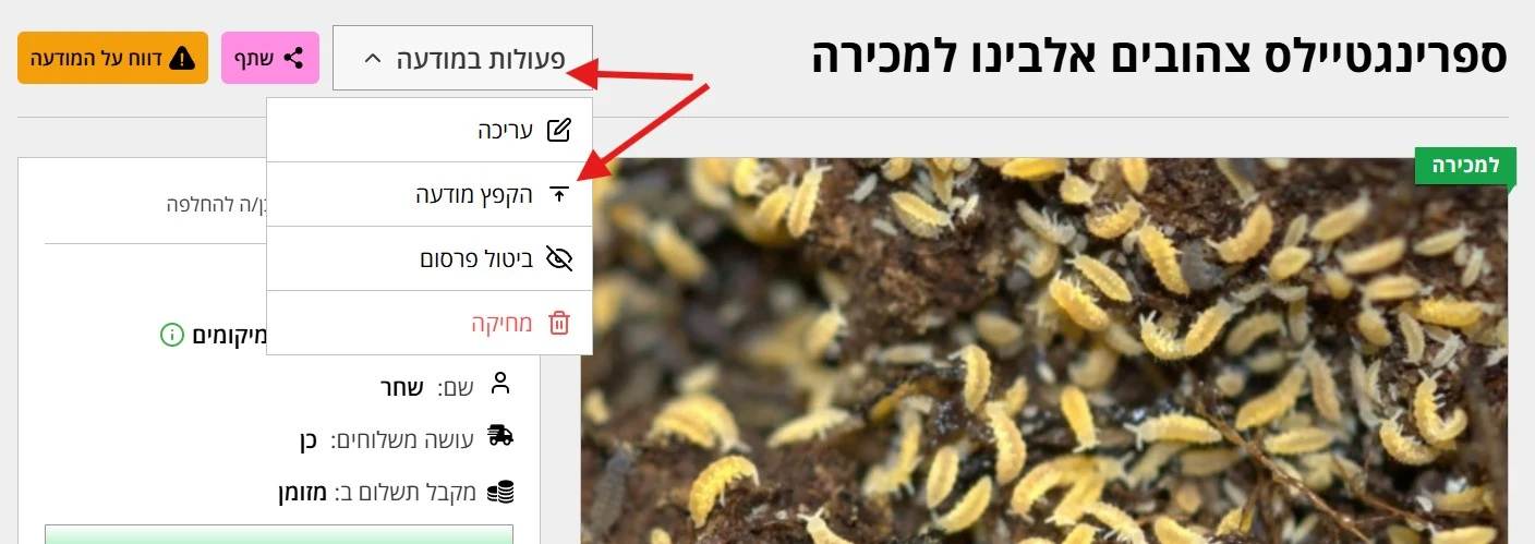 תיאור Alt חסר