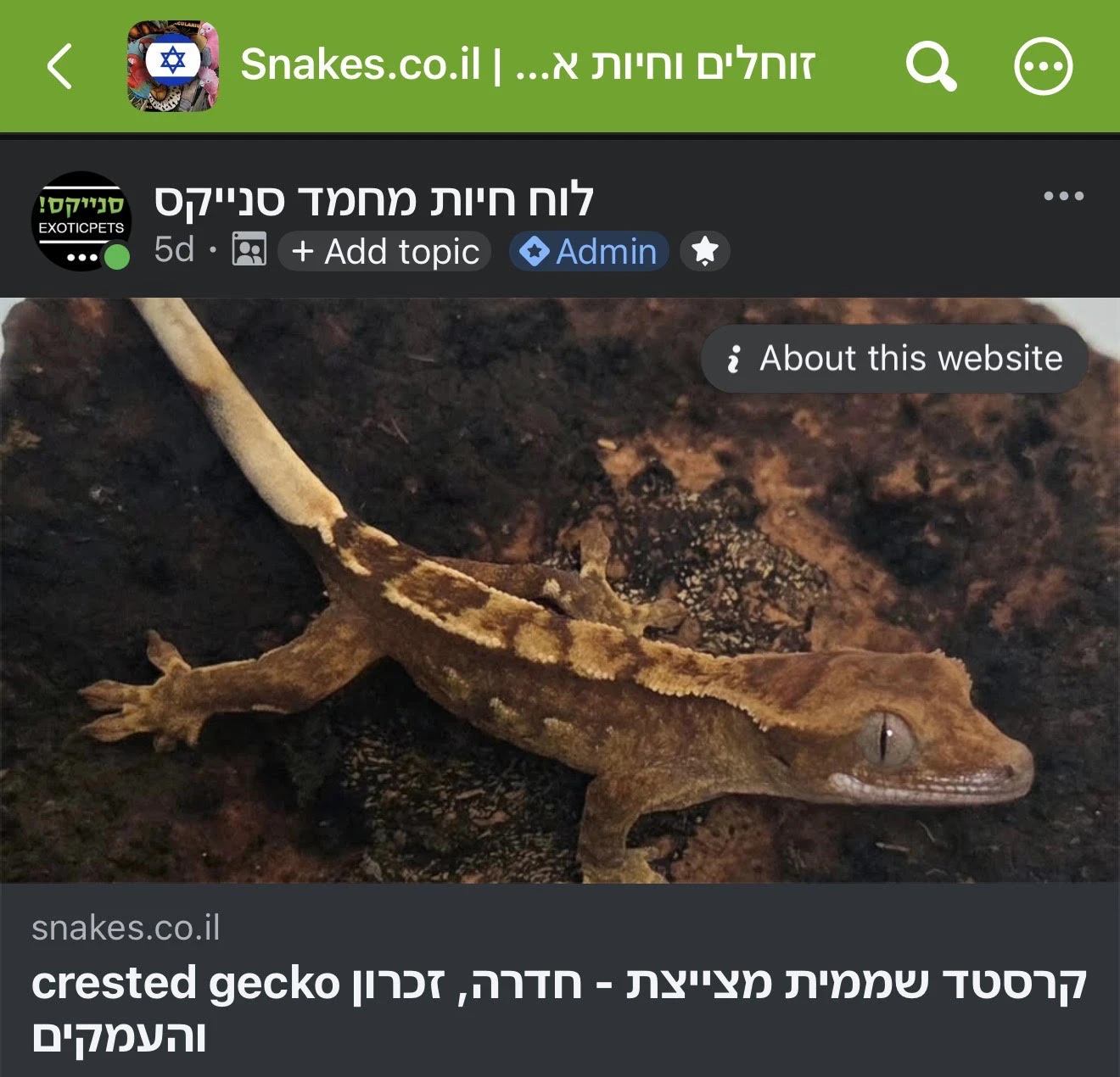 תיאור Alt חסר