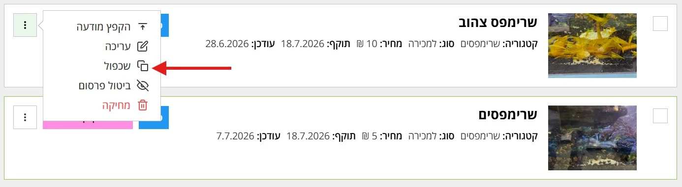 תיאור Alt חסר