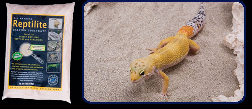 reptilite-bag[1].jpg