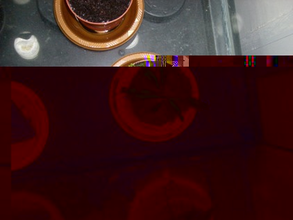 SANY0102.JPG