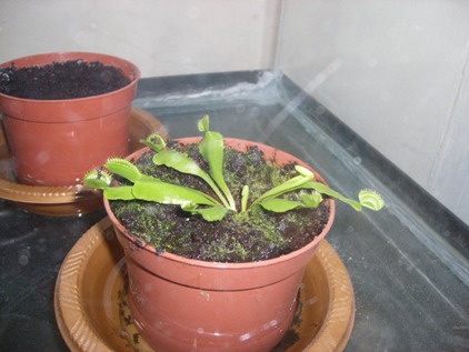 SANY0106.JPG