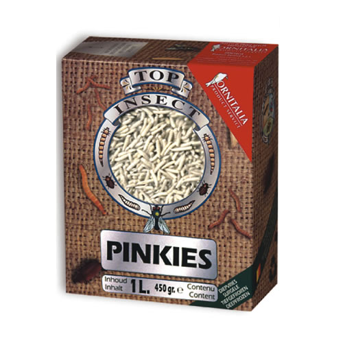 2009918_114144450_pinkies.jpg