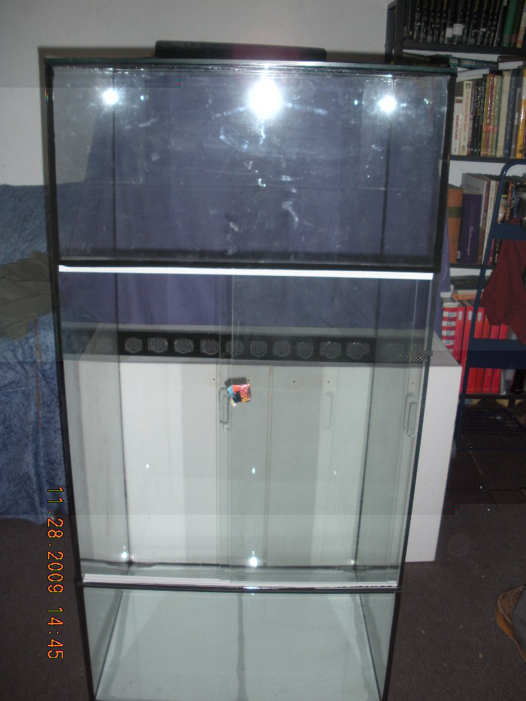 1 244.jpg