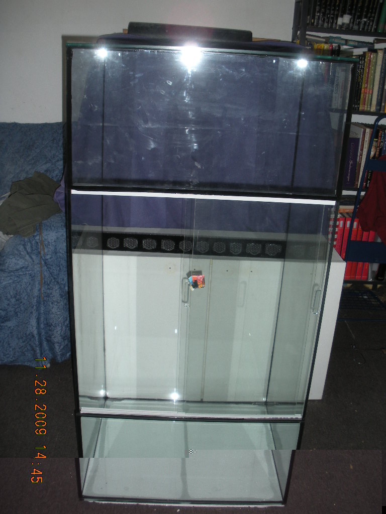 1 245.jpg