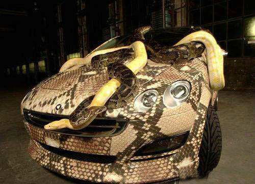 snake_car_1.jpg