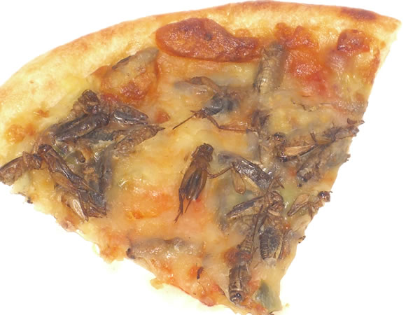 pizza.jpg