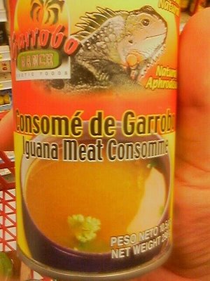 Iguana_broth.jpg