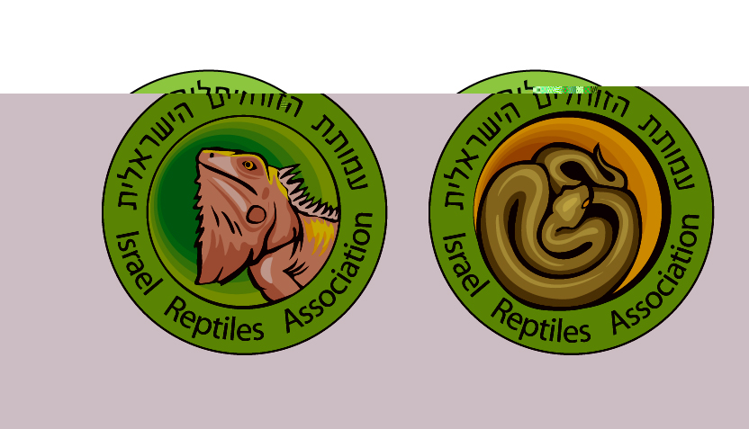reptileamuta2.jpg