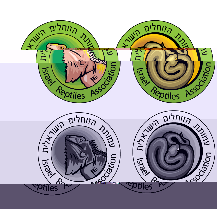 reptileamuta4.jpg