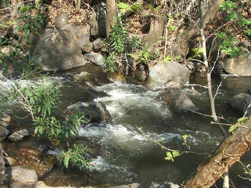 DSCF2427.JPG