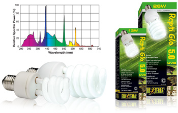 compact_bulbs_50.jpg