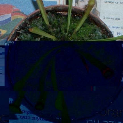 SANY0293.JPG