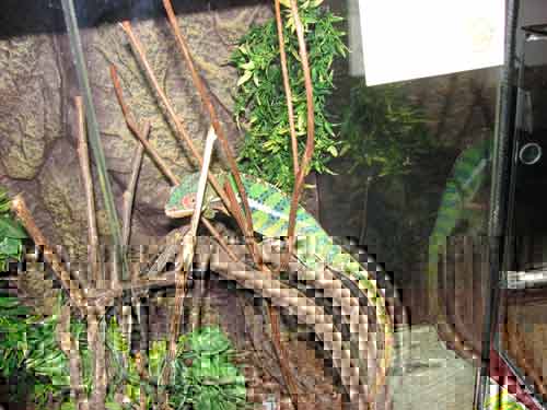 Picture-089.jpg