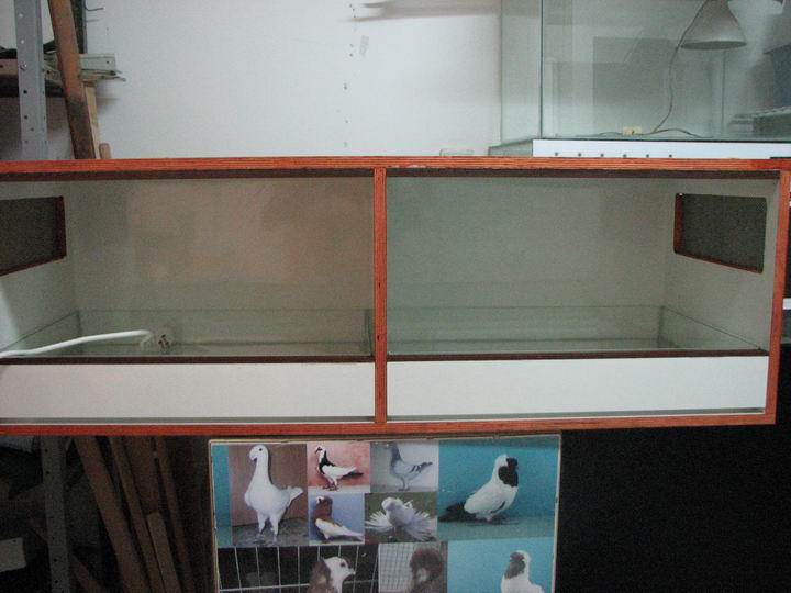 Resize of 18.JPG