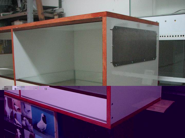 Resize of 19.JPG