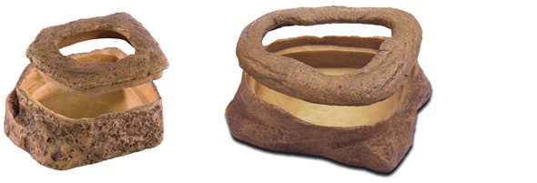worm_dish.jpg