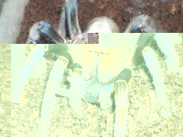 RSCN1003.JPG