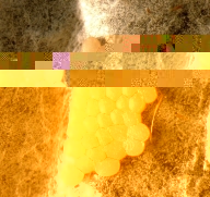 .jpg