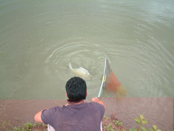 tailand2.jpg