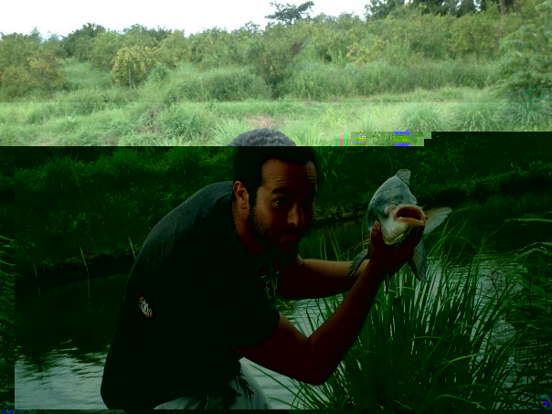 tailand4.jpg