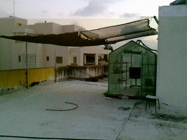 eastern view.jpg