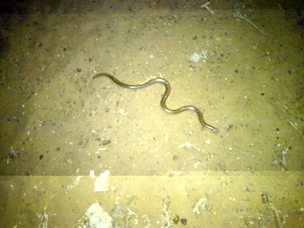 ‏‏עותק של 01082010106.jpg