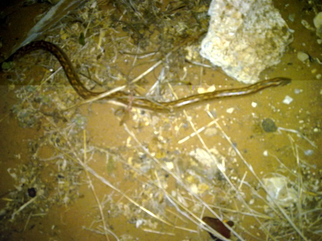 ‏‏עותק של 01082010107.jpg