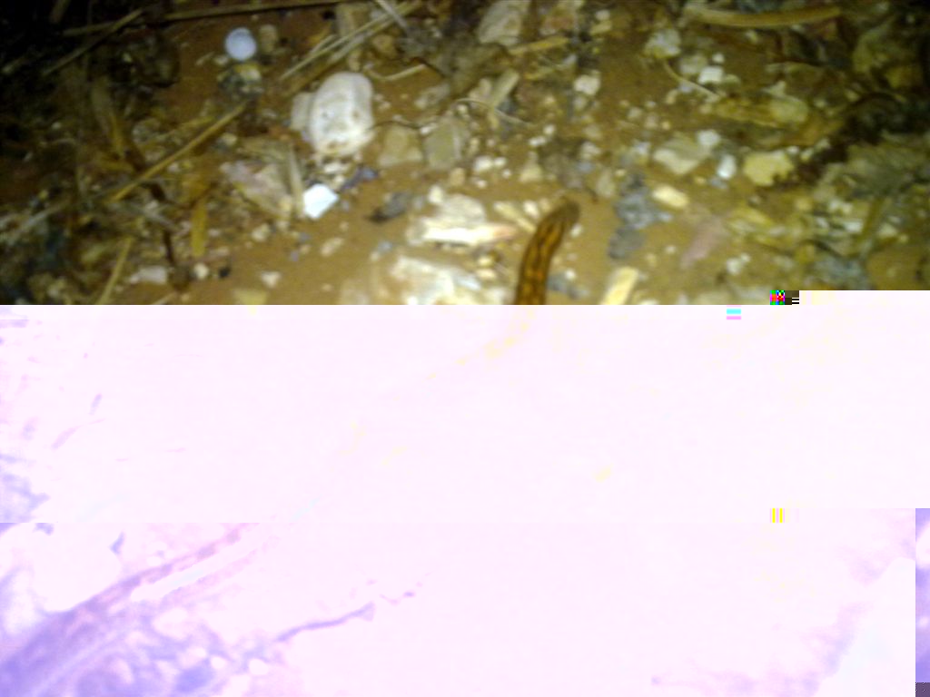 ‏‏עותק של 01082010108.jpg