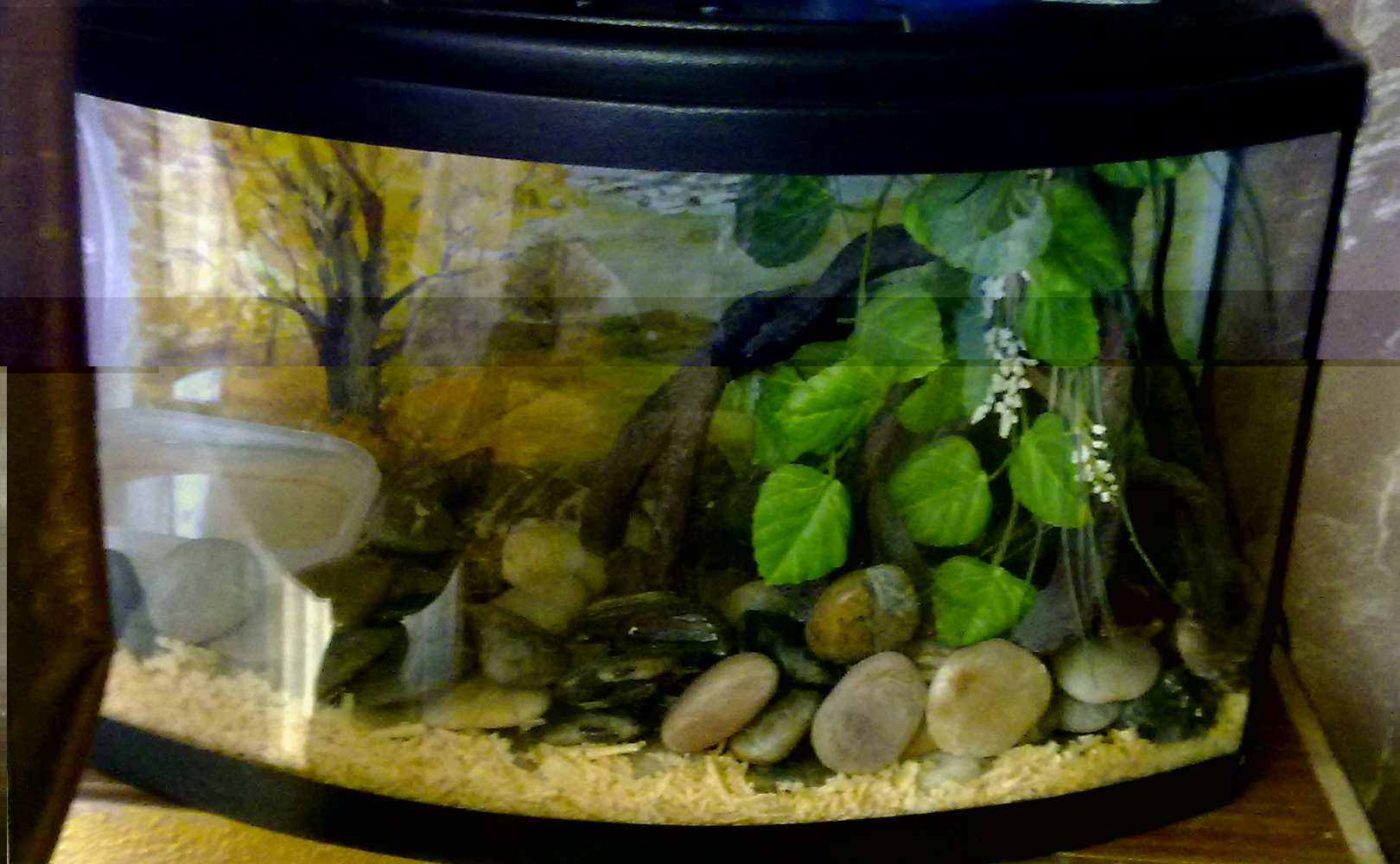 07092010534.jpg