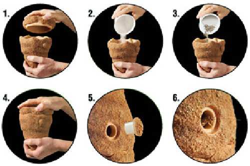 termite_hill_2.jpg