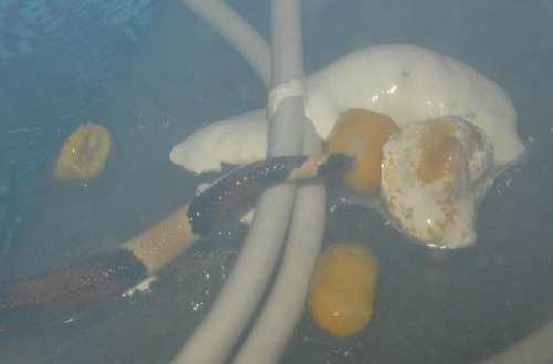 DSCN2167.JPG