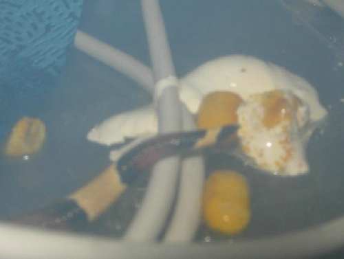 DSCN2166.JPG