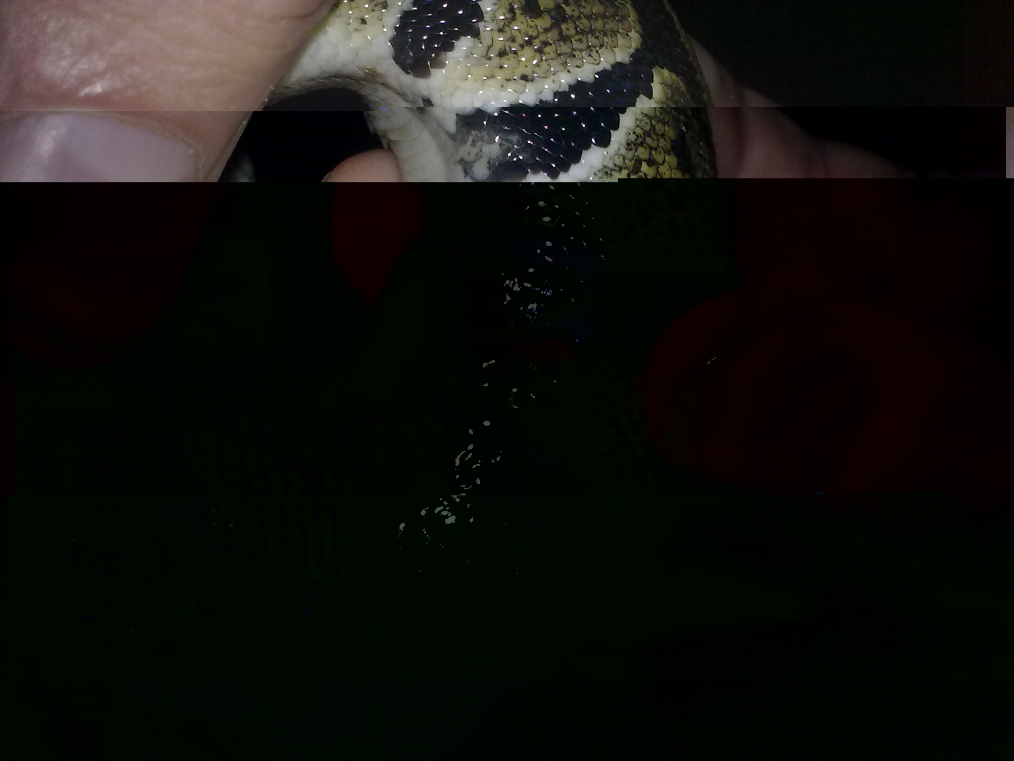 30122010290.jpg